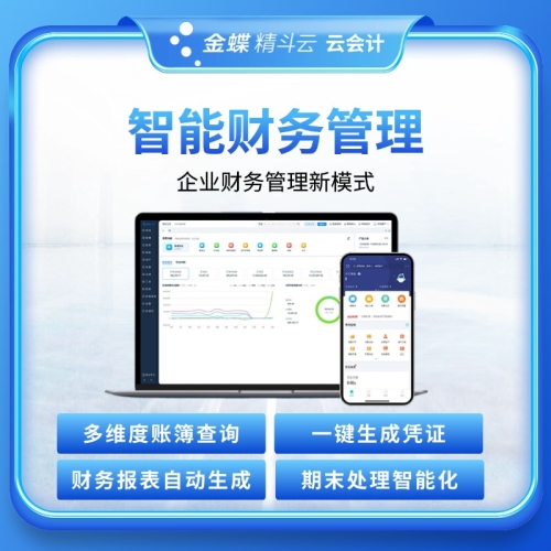 金蝶精斗云-云会计