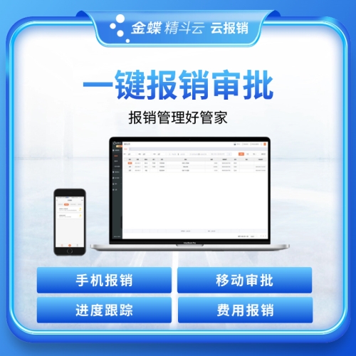 金蝶精斗云-云报销