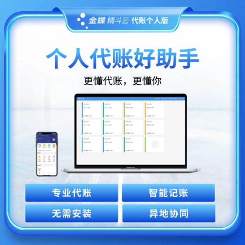 代账个人版